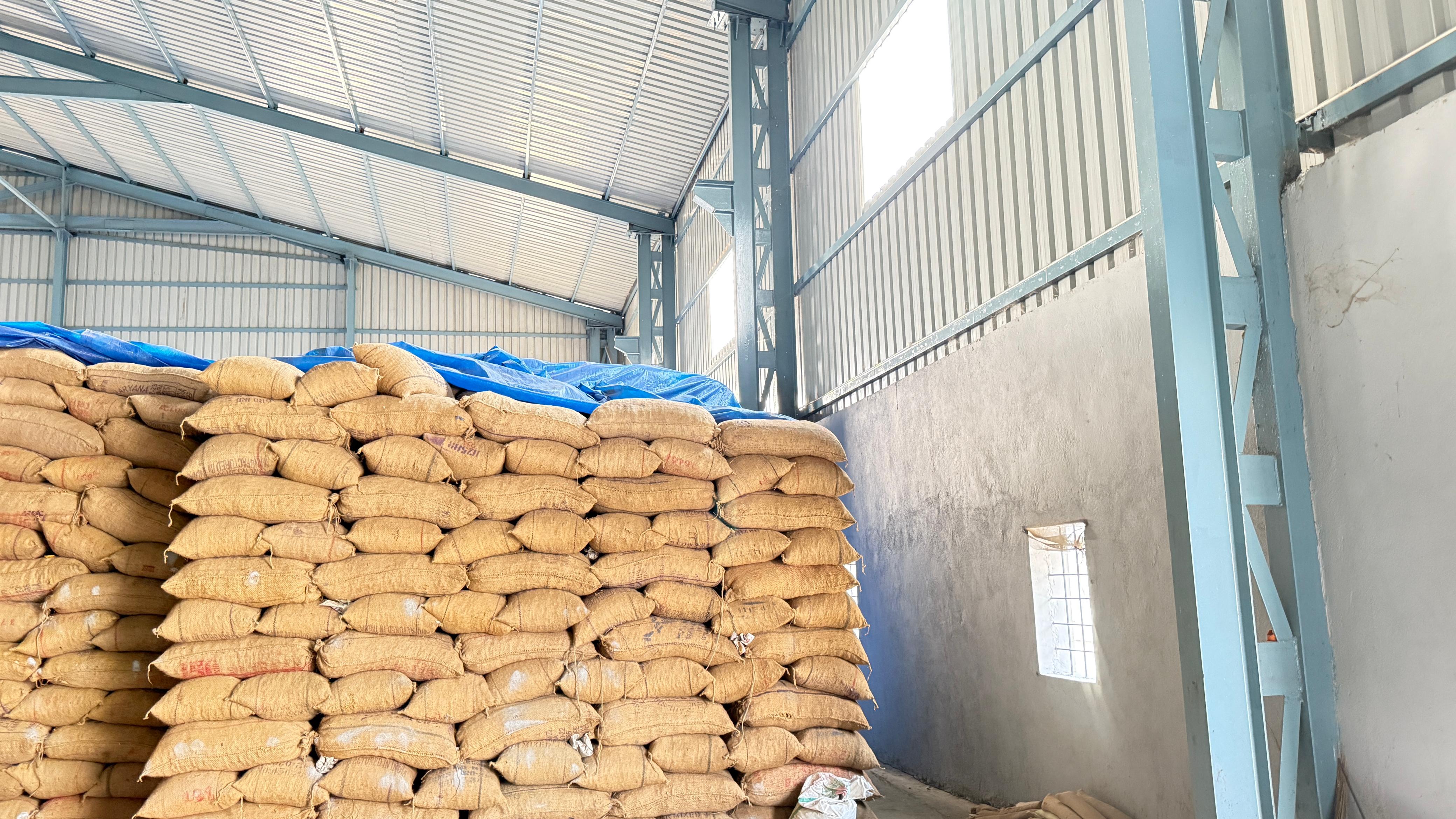 Seed Storage 1