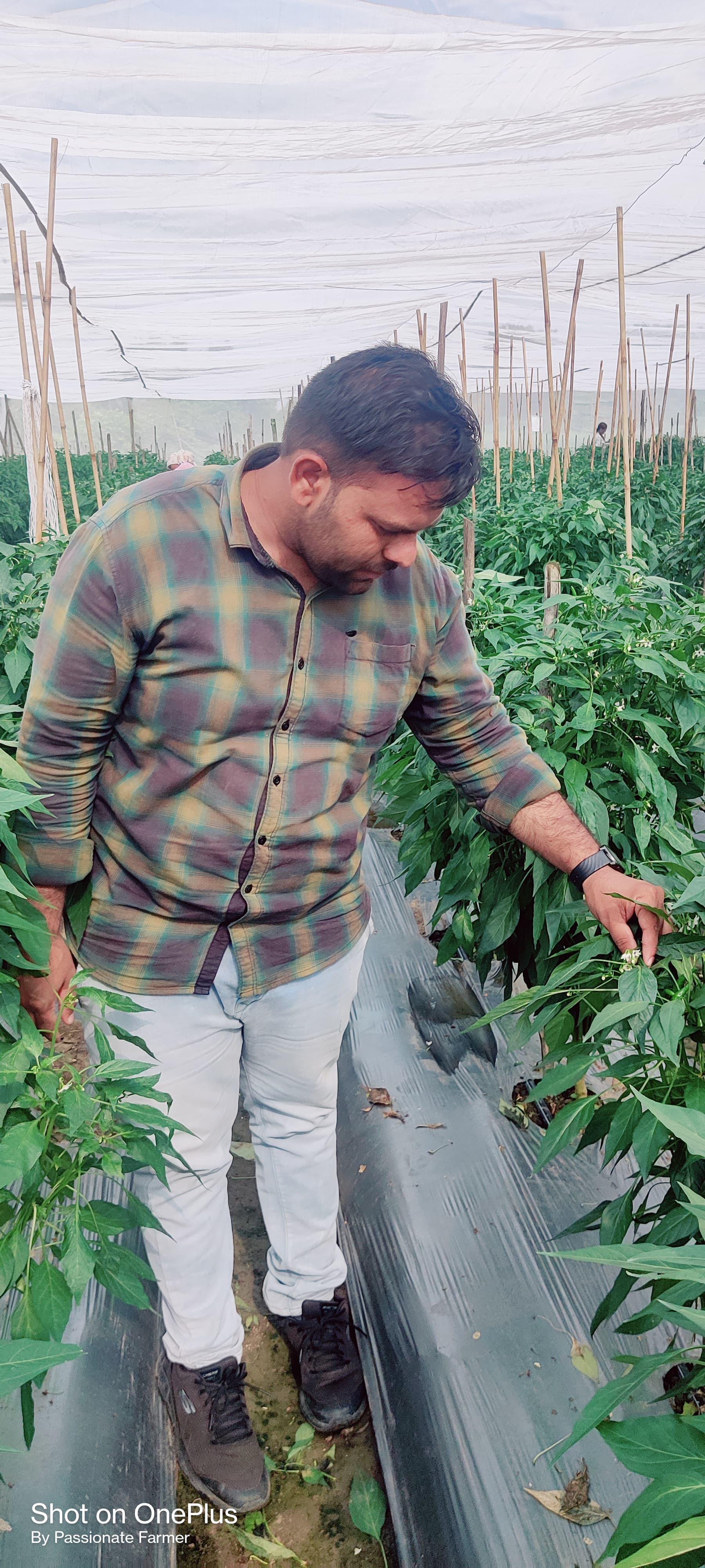 Field Trials
